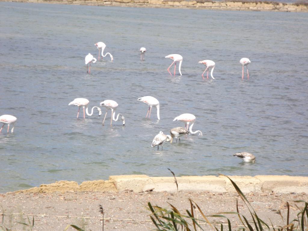 Case Vacanza Torre Lupa Marsala Rum bild